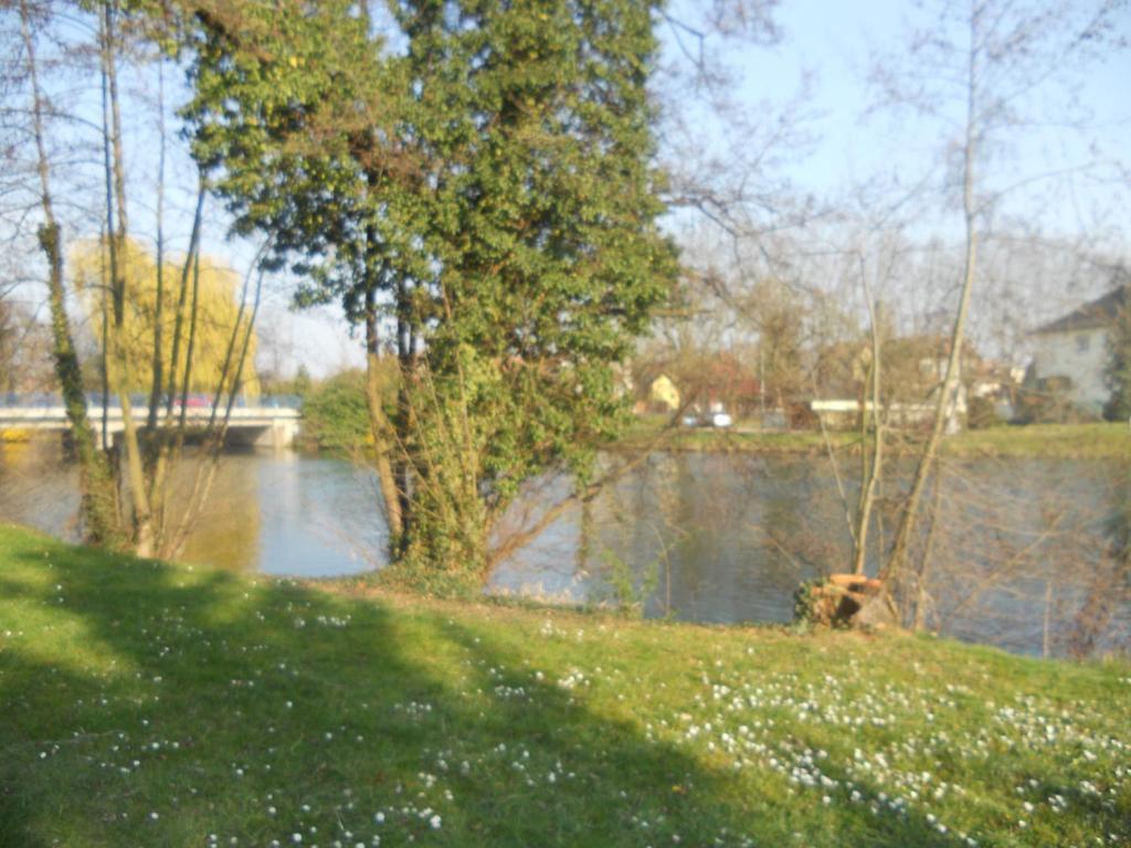 L'Hotel Des Bords De L'Ill Erstein Zewnętrze zdjęcie
